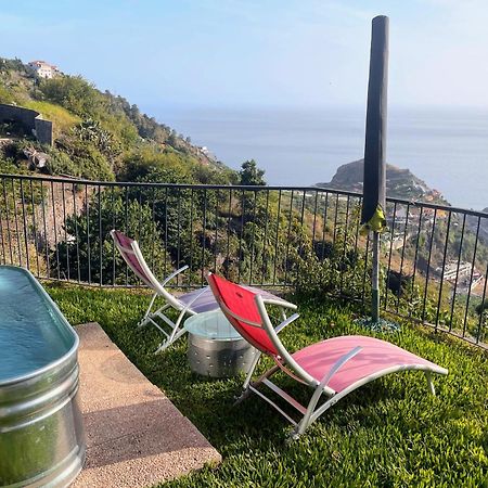 Quinta Terezinha Villa Ribeira Brava Dış mekan fotoğraf
