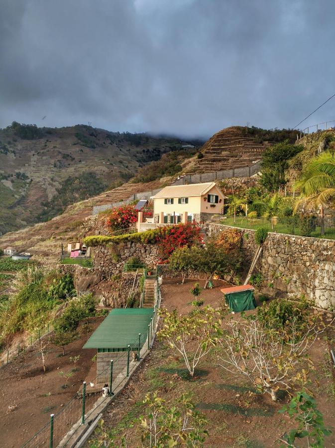 Quinta Terezinha Villa Ribeira Brava Dış mekan fotoğraf