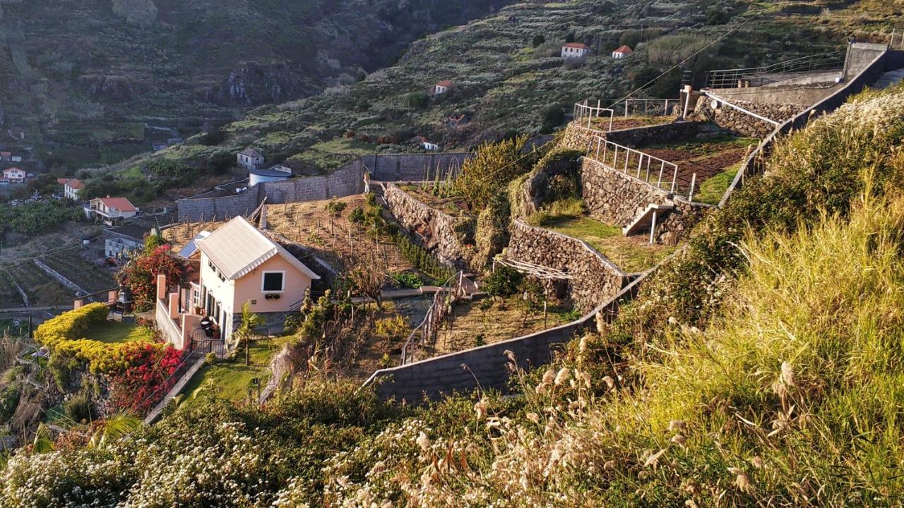 Quinta Terezinha Villa Ribeira Brava Dış mekan fotoğraf
